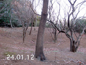 ̐24.1.12