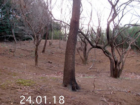 ̐24.1.18