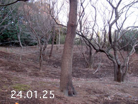 ̐24.1.25