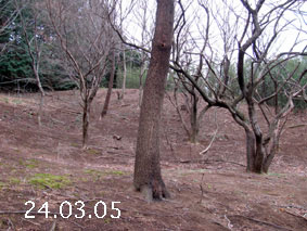 ̐24.3.5
