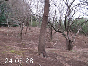 ̐24.3.28
