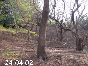 ̐24.4.2
