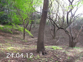 ̐24.4.12