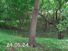 ̐24.5.24