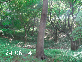 ̐24.6.14