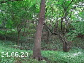̐24.6.20