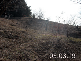 伐採制限区域05.03.19