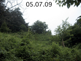 伐採制限区域05.07.09