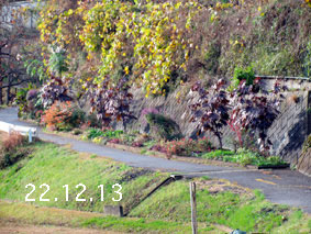 Ԓd|22.12.13