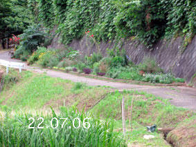 Ԓd|22.7.6