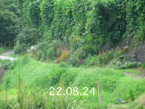 Ԓd|22.8.24