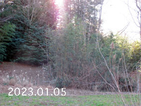|1|23.1.5