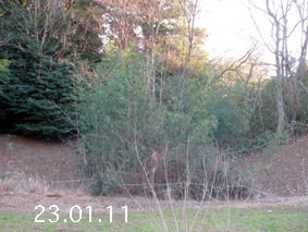 |1|23.1.11