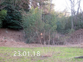 |1|23.1.18