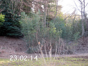 |1|23.2.14