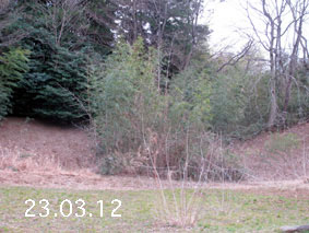 |1|23.3.12