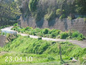 Ԓd|23.4.10