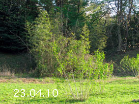 |1|23.4.10