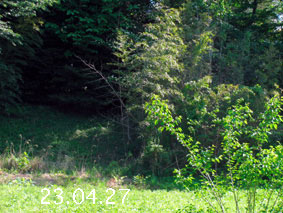 |1|23.4.27