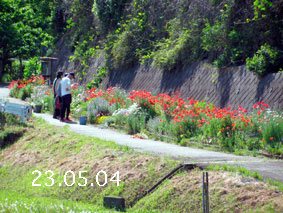 Ԓd|23.5.4