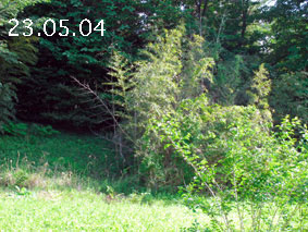 |1|23.5.4
