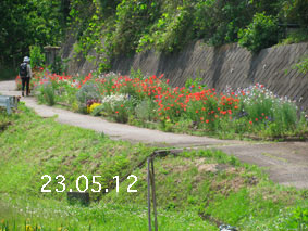 Ԓd|23.5.12