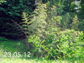 |1|23.5.12