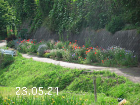 Ԓd|23.5.21