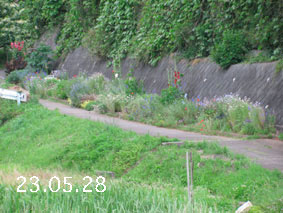 Ԓd|23.5.28