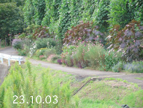 Ԓd|23.10.3