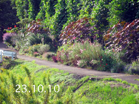 Ԓd|23.10.10