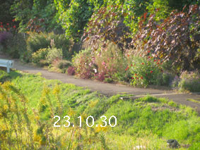 Ԓd|23.10.25