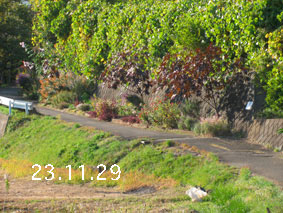 Ԓd|23.11.29