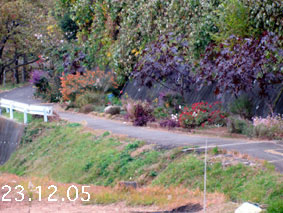 Ԓd|23.12.5