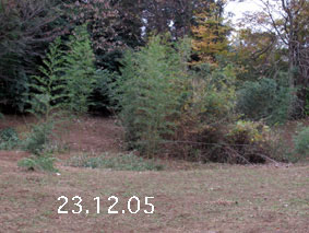 |1|23.12.5
