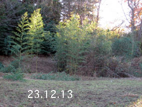 |1|23.12.13