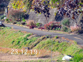 Ԓd|23.12.19