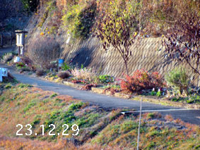 Ԓd|23.12.29