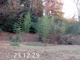 |1|23.12.29