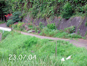 Ԓd|23.7.4