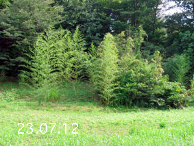 |1|23.7.12