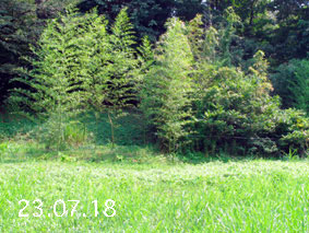 |1|23.7.18