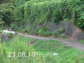 Ԓd|23.8.10