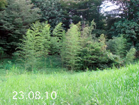 |1|23.8.10