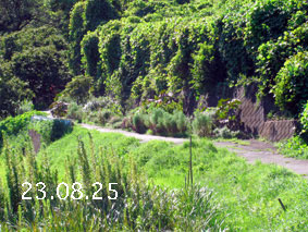 Ԓd|23.8.25