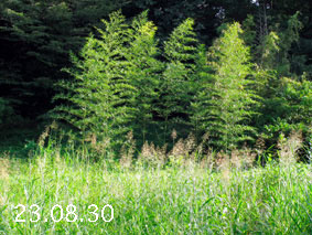 |1|23.8.30