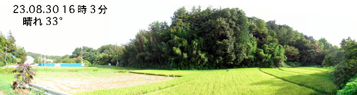 Si1-23.8.30