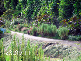 Ԓd|23.9.11