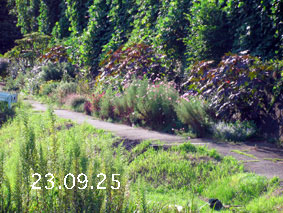 Ԓd|23.9.25