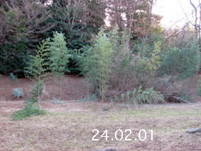 |1|24.2.1